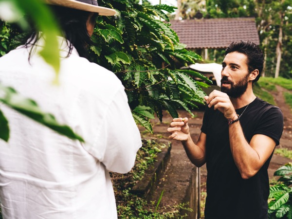 Schümli Cafè Crème Bio & Fair stammt von einer Fairtrade-Kaffeeplantage